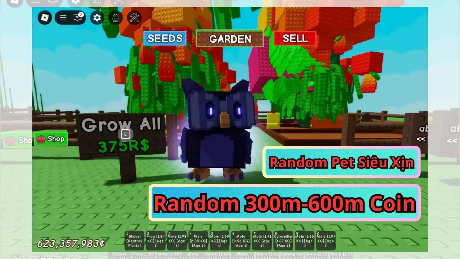 Acc Grow a Garden Pet Siêu Hiếm Nhiều Coin 30K